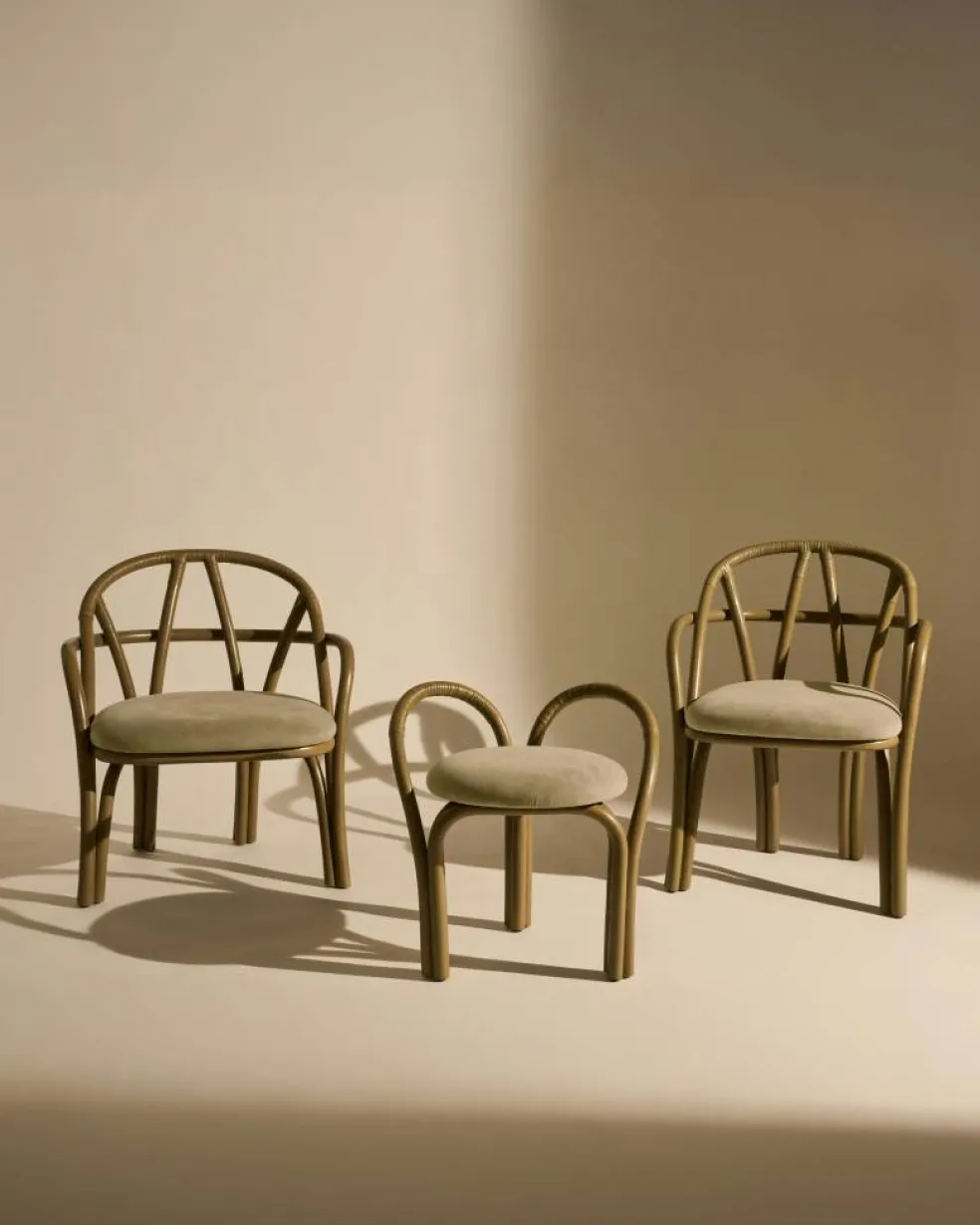 Bistra Pall, Oliv / Fustagno 003