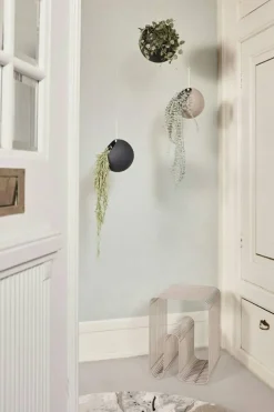 Curva Pall, Taupe