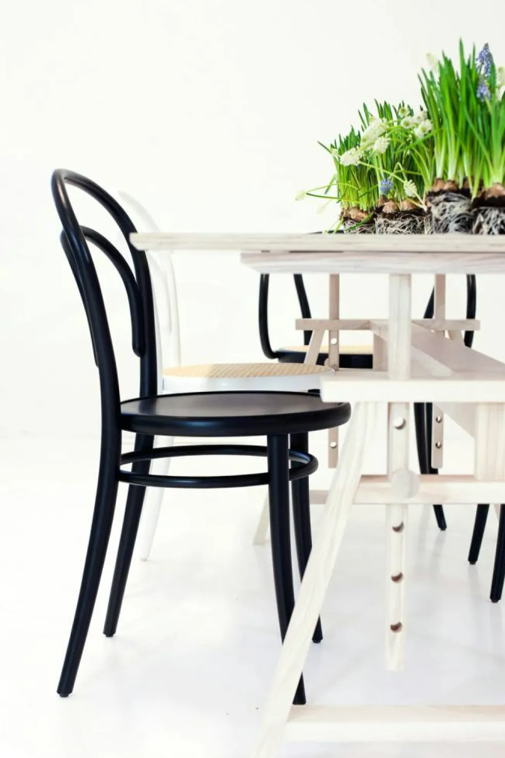 No 14 Stol, Black Grain